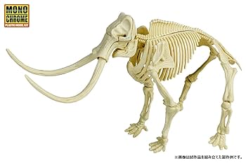 マンモス   /大日本絵画/エ-ドリアン・リスタ-（大型本） Amazon.co.jp: 恐竜トリケラトプスと巨大ガメ: ア-ケロンの海岸