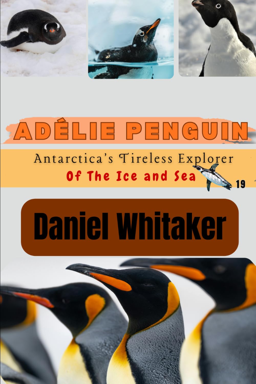 Adélie Penguin: Antarctica's Tireless Explorer of the ice and sea