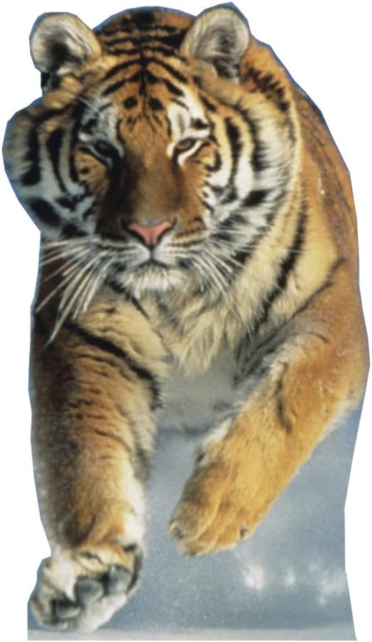 Cardboard People Tiger Life Size Cardboard Cutout Standup