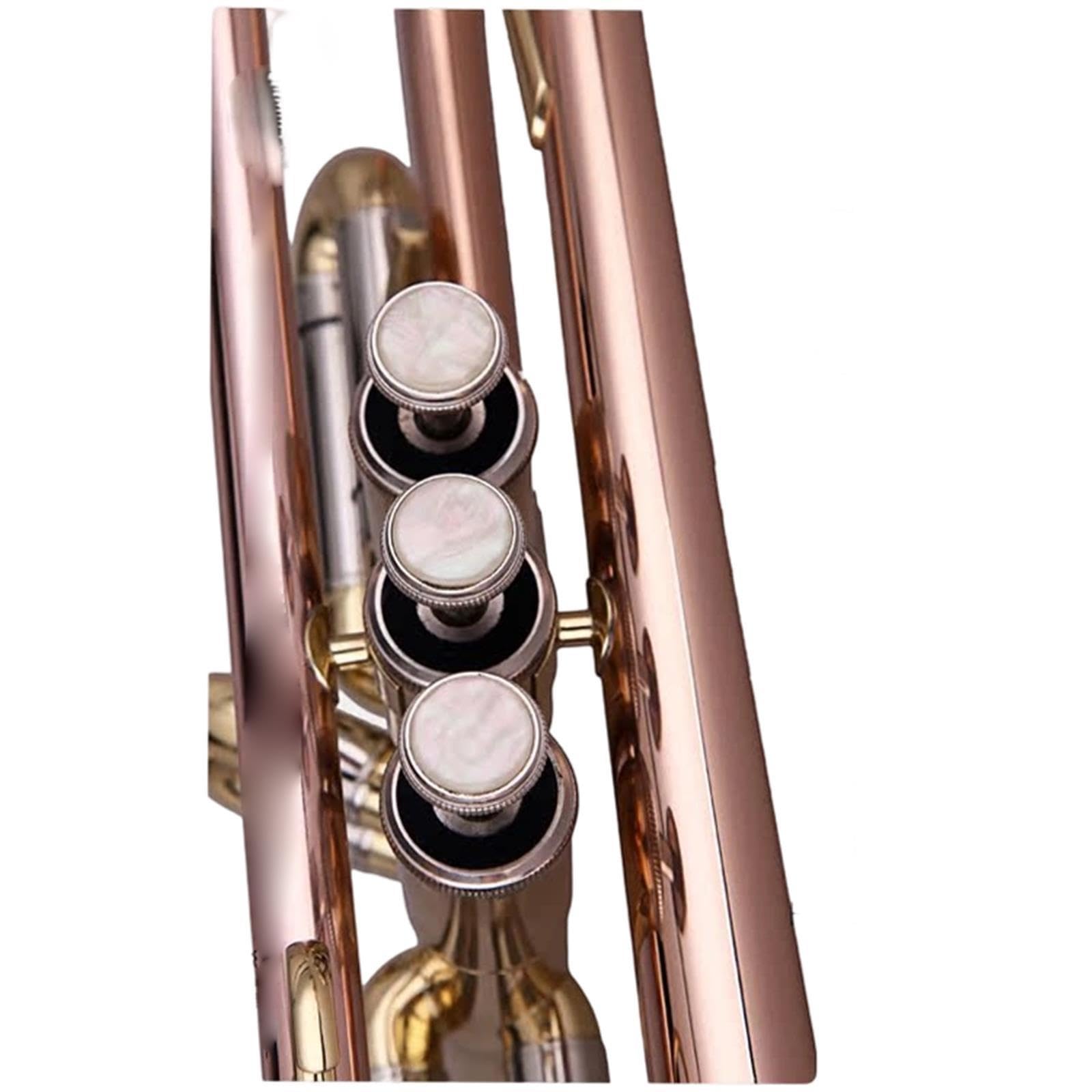 Standard Trumpet Trąbka Bb dla początkujących