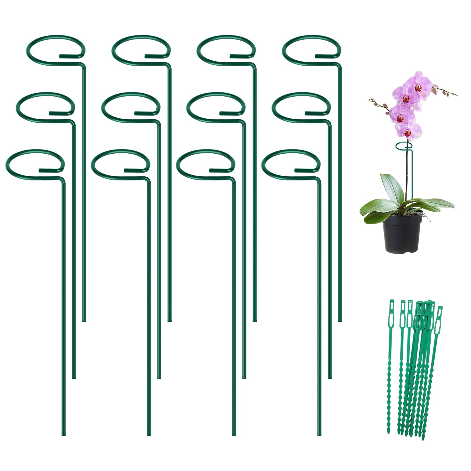 FEED GARDEN 16 Inch Plant Support Stakes