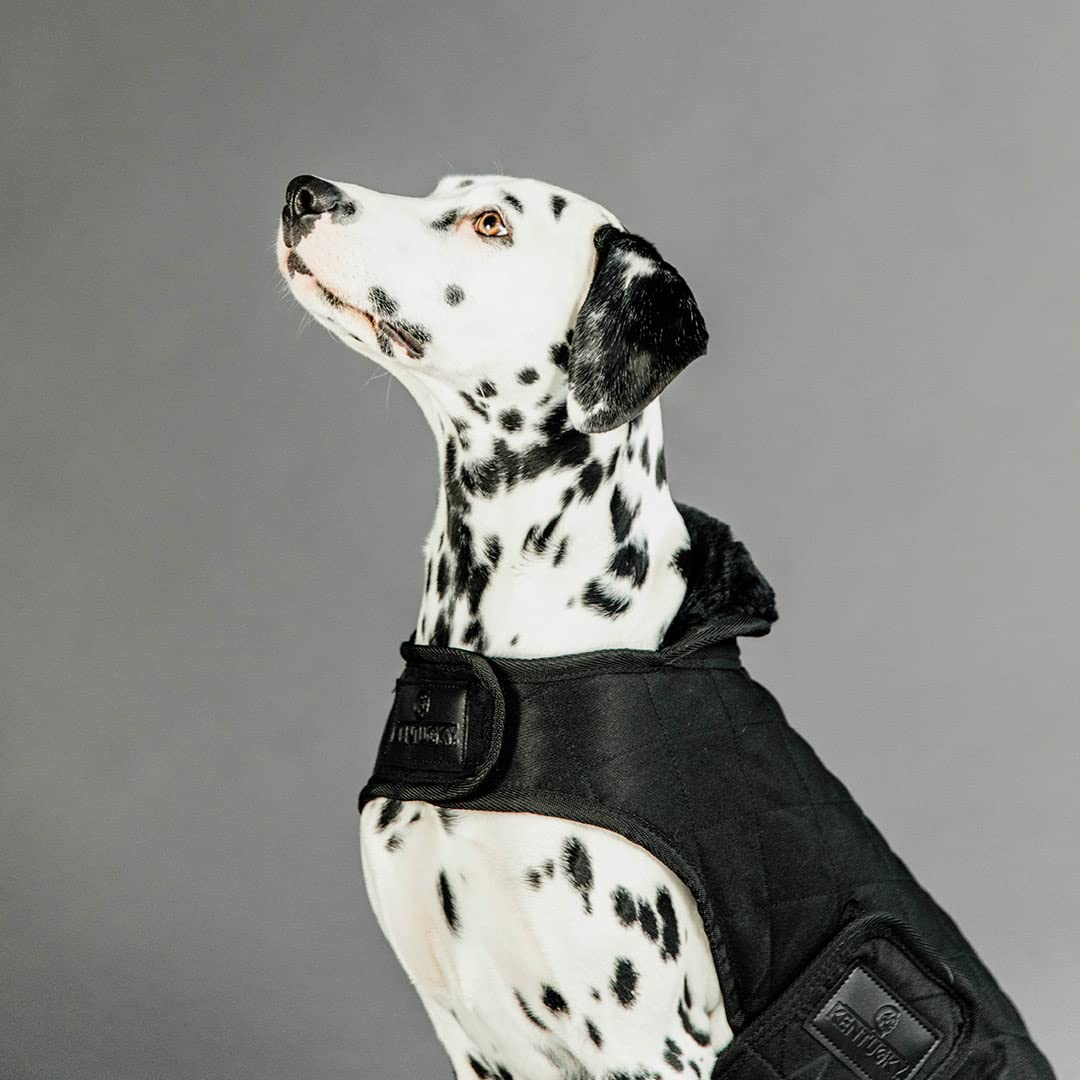 Abrigo para Perros Kentucky Original 160g, Chaleco Ropa Perro
