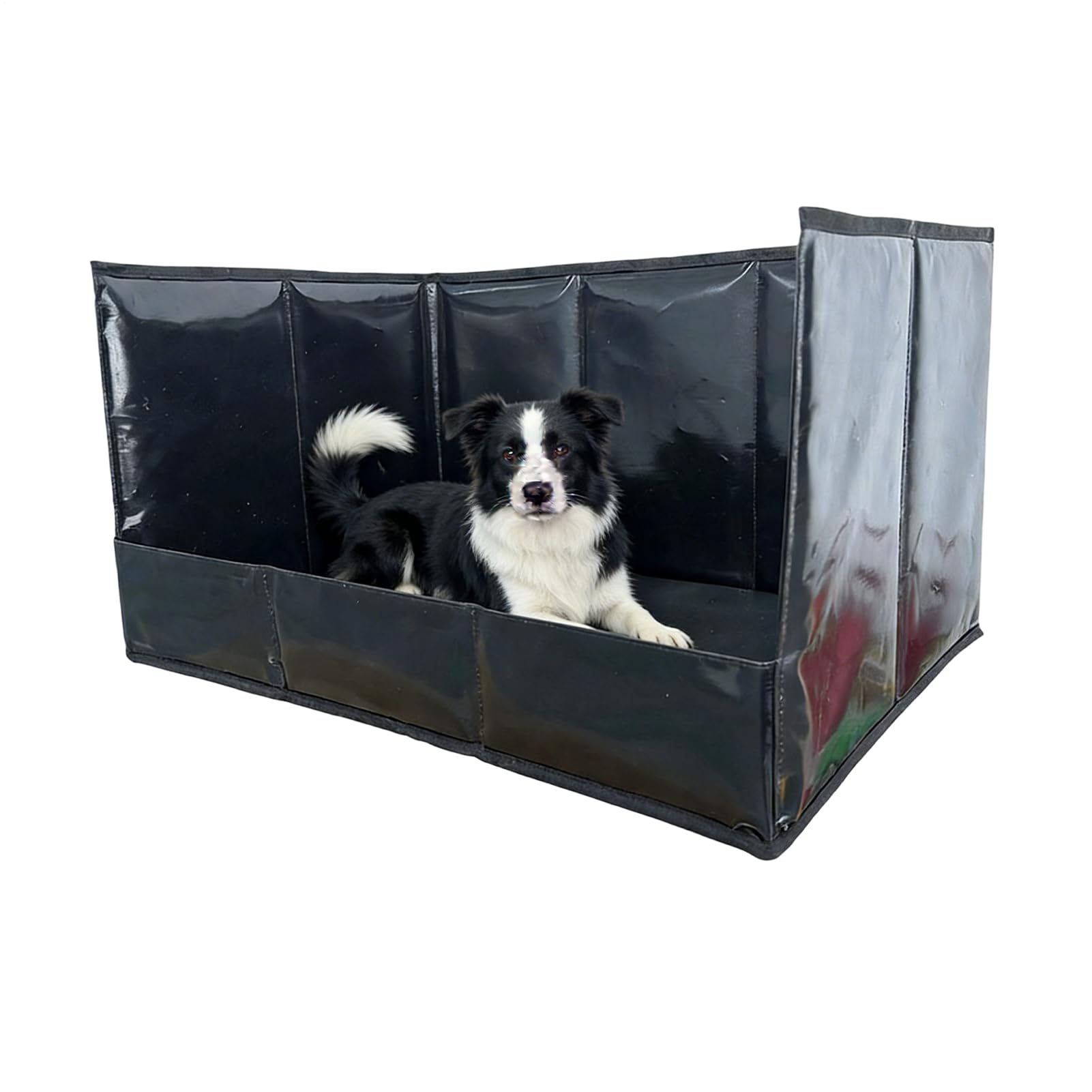 Vassoio per Pipì del Cane Toilette Con Pareti Alte Per Animali Domestici | Box Pipì con Alte Pareti per Interni Per Cani Di Tutte Le Taglie Addestramento Casa Soggiorno Balcone
