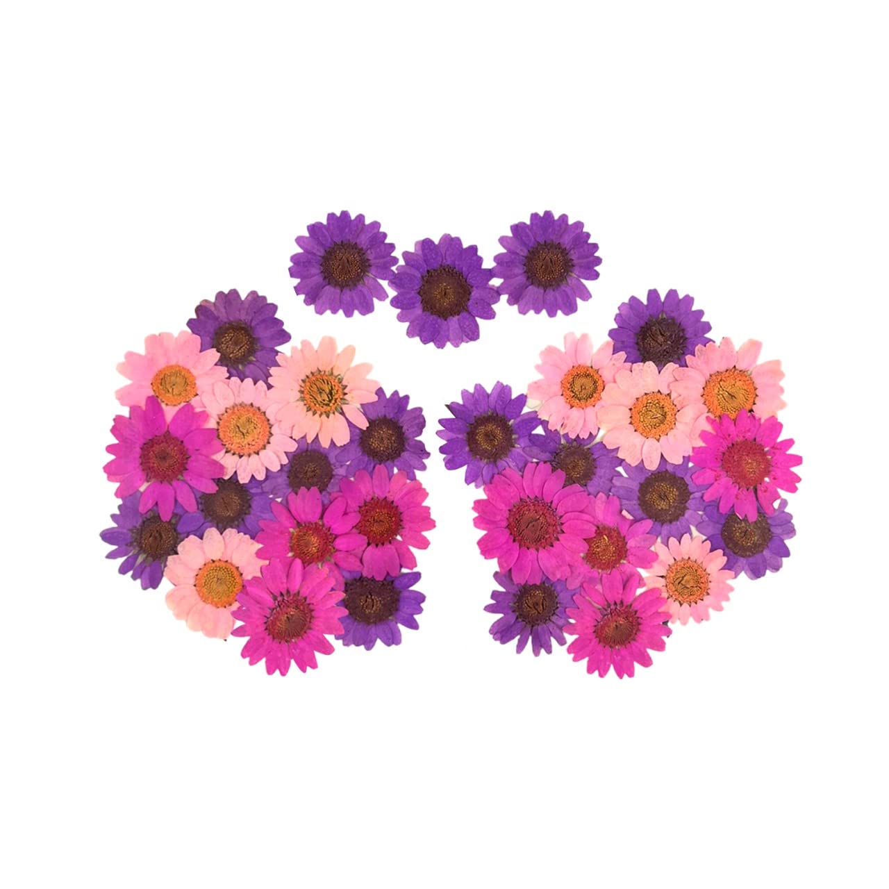 Neva NudeReal Dried Pressed Flower Nipztix Pasties, BodiStix, or FaceStix for Raves and Festivals