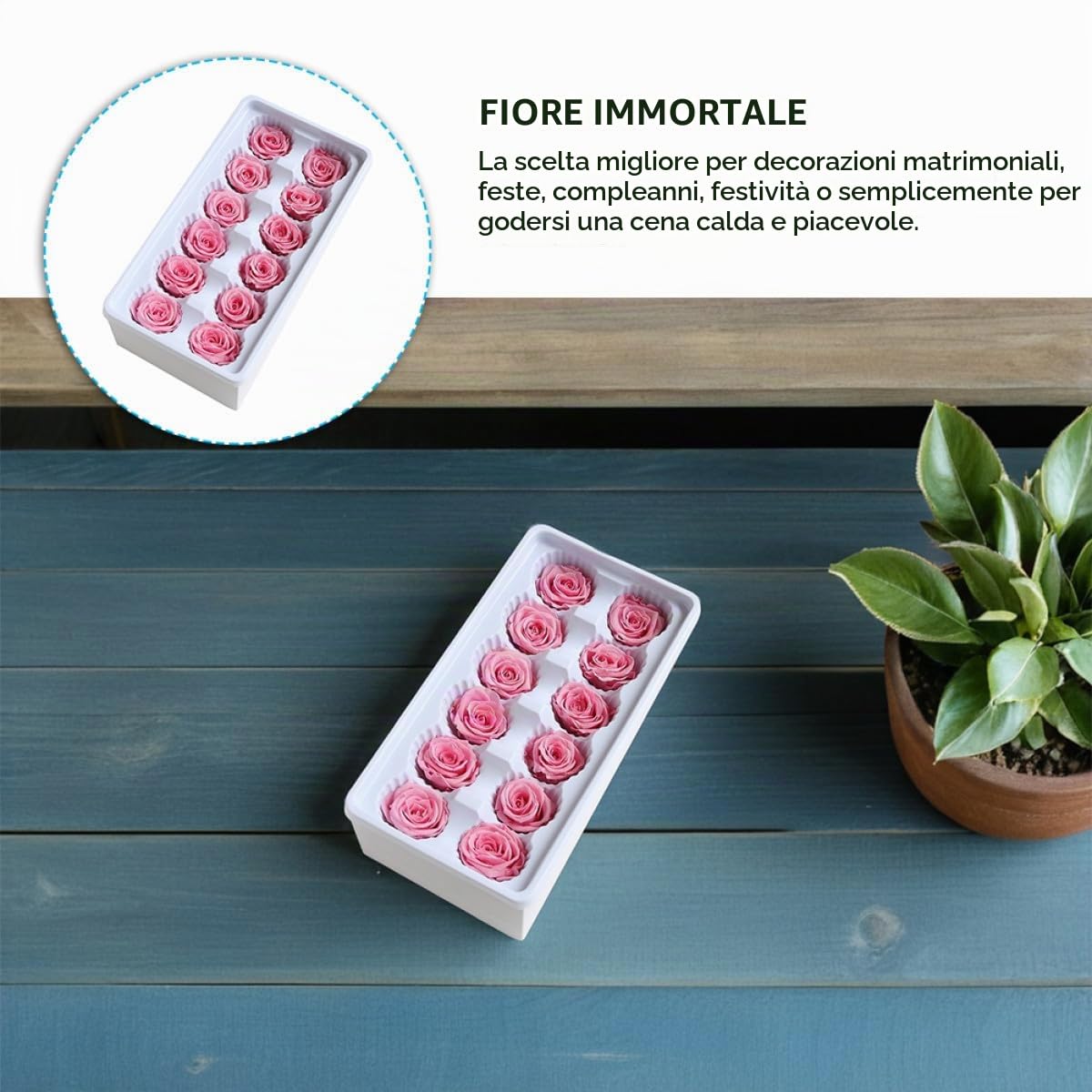 Fiore Eterno 12 Pezzi Rose Stabilizzate 3.5Cm Decorazioni Matrimonio Accessori Bouquet Per Bomboniere E Allestimenti Festa