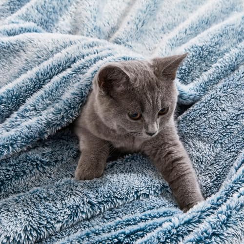 Image of Exclusivo Mezcla Plush Fuzzy Fleece Bed Blanket Queen Size, Super Soft, Fluffy and Warm Blankets Suitable for All Seasons (Mixed Teal, 90x90 Inches)