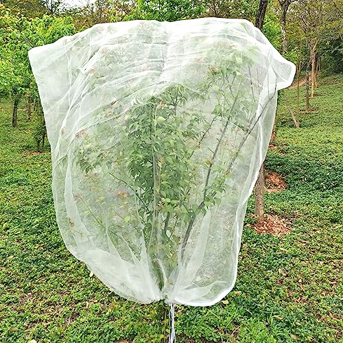 LINSOCLE Filet Arbre Fruitier 2m X 2.4m | Filet Anti-Oiseaux et Insectes avec Fermeture Éclair & Cordon | Housse pour Plantes Respirant (Blanc)
