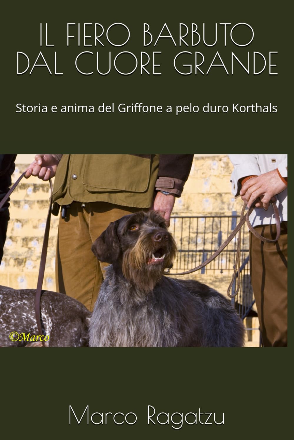 IL FIERO BARBUTO DAL CUORE GRANDE: Storia e anima del Griffone a pelo duro Korthals
