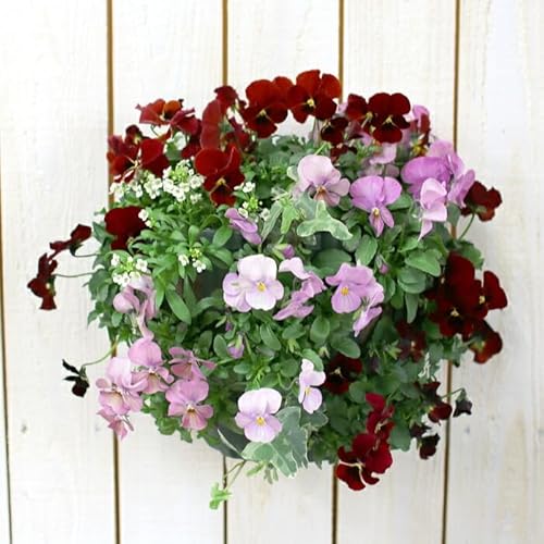 rĨnMOoXPbg Ԃ 񂹐A [XC[gn[g] MTCY Vv |  t[Mtg a v[g     Vzj A  K[fjO t[ O Mtg A   蕨 Zbg 