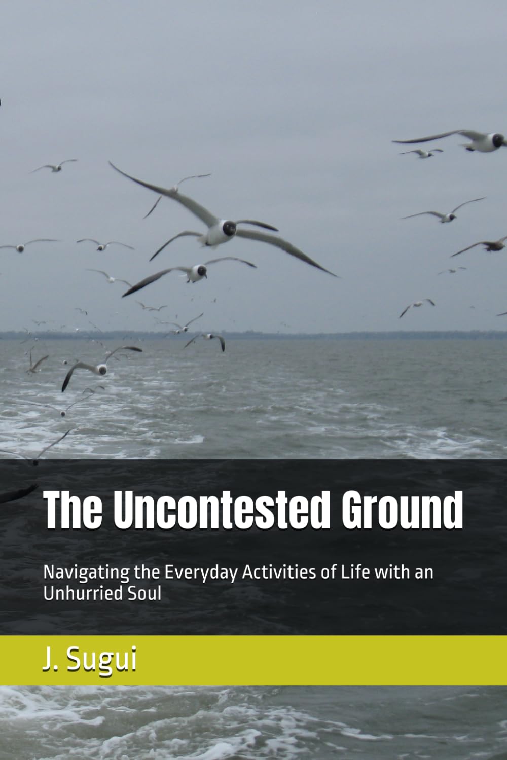 The Uncontested Ground: Navigating the Everyday Activities of Life with an Unhurried Soul (JS Lumen Unrushed Horizons)