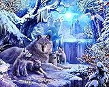  Sunnay Diamond Painting, Wolf Familie 5D Diamant Malerei Zeichnung Not Full Drill Großer Weihnachten DIY Stickerei Kreuz Stich Kreuzstich Dekoration (Winter, 40x30cm)