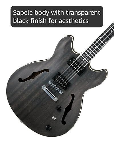 Amazon.com: Ibanez Artcore AS53 - Transparent Black Flat : Musical