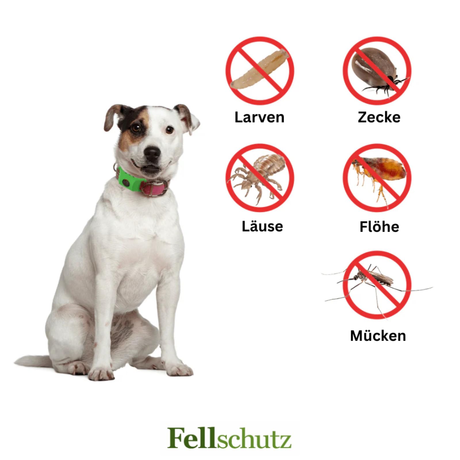 Fallschutz Gegen Zecken,Natürliches Floh und Zeckenhalsband für Hunde,Verstellbarer Parasitenschutz Anhänger mit ätherischen Ölen,2 austauschbaren Kapseln,hautschonend ohne Hautkontakt