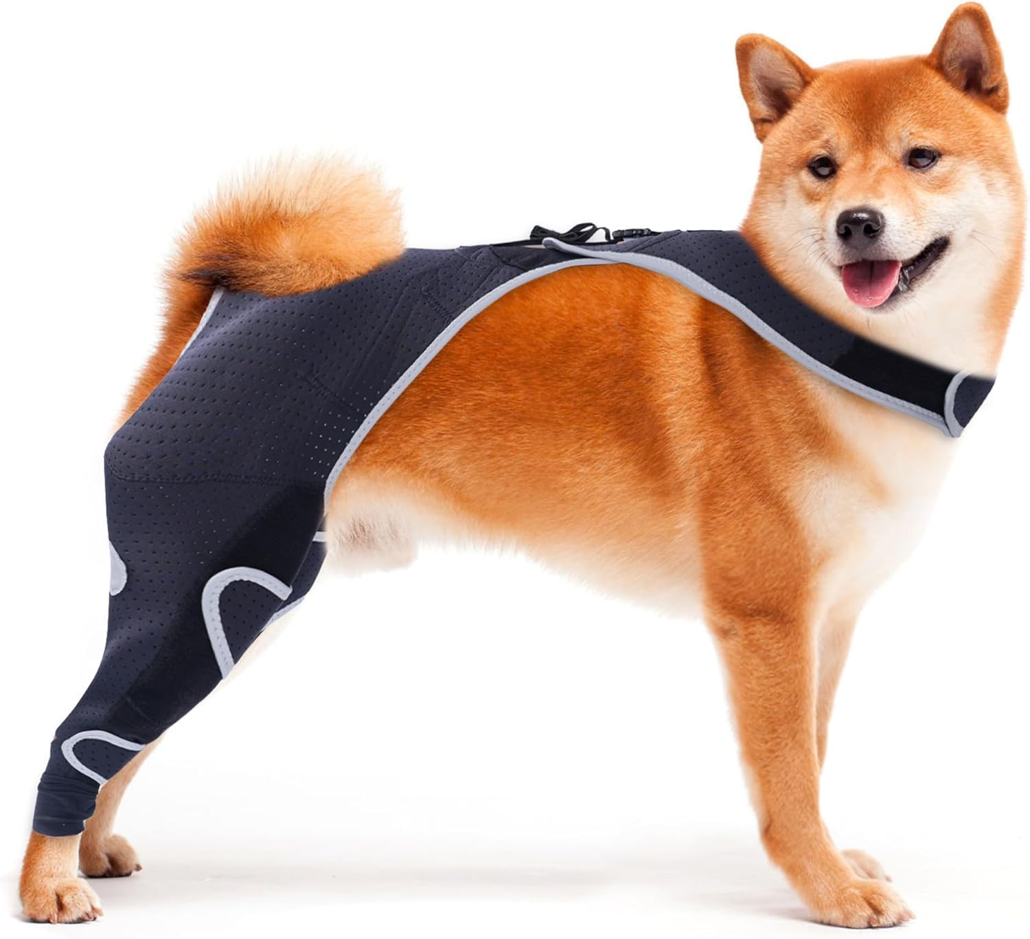 Dog Knee Brace for Torn ACL CCL Support Rear Leg Brace &amp; Anti Slip Harness