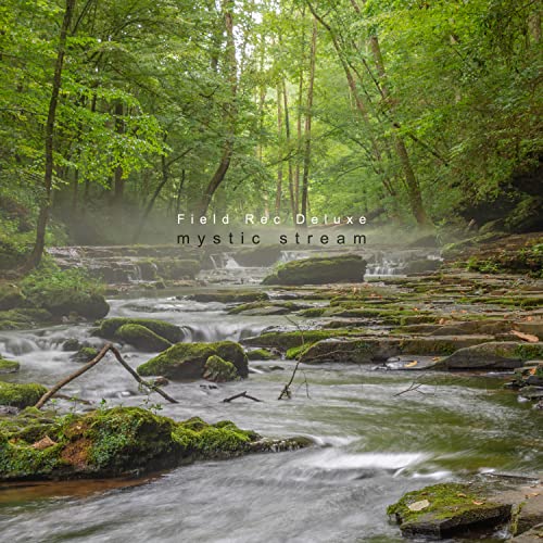 Field Rec Deluxe