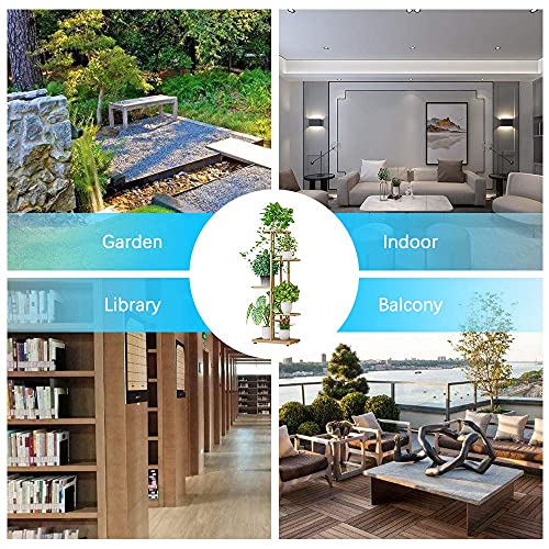 Ibequem 5-verdiepingen metalen plantenstandaard, meerdere bloempothouderplanken, plantenrek opbergorganizer display voor binnen en buiten, balkon of tuin (goudkleurig) - Afbeelding 6