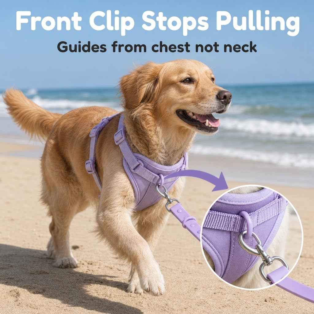 Arnés para perro, arnés para mascotas sin tirones con 3 clips de correa, chaleco acolchado suave ajustable, cojín de malla transpirable para perros pequeños, medianos y grandes (morado, pequeño