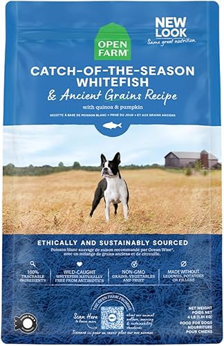 Open Farm - Alimento seco para perros con pescado blanco de temporada y granos ancestrales, receta de pescado blanco salvaje con granos sanos, sin