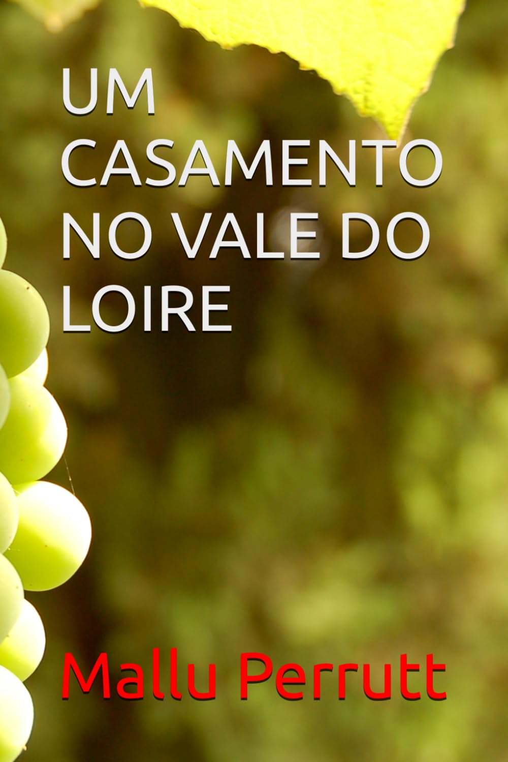 UM CASAMENTO NO VALLE DO LOIRE