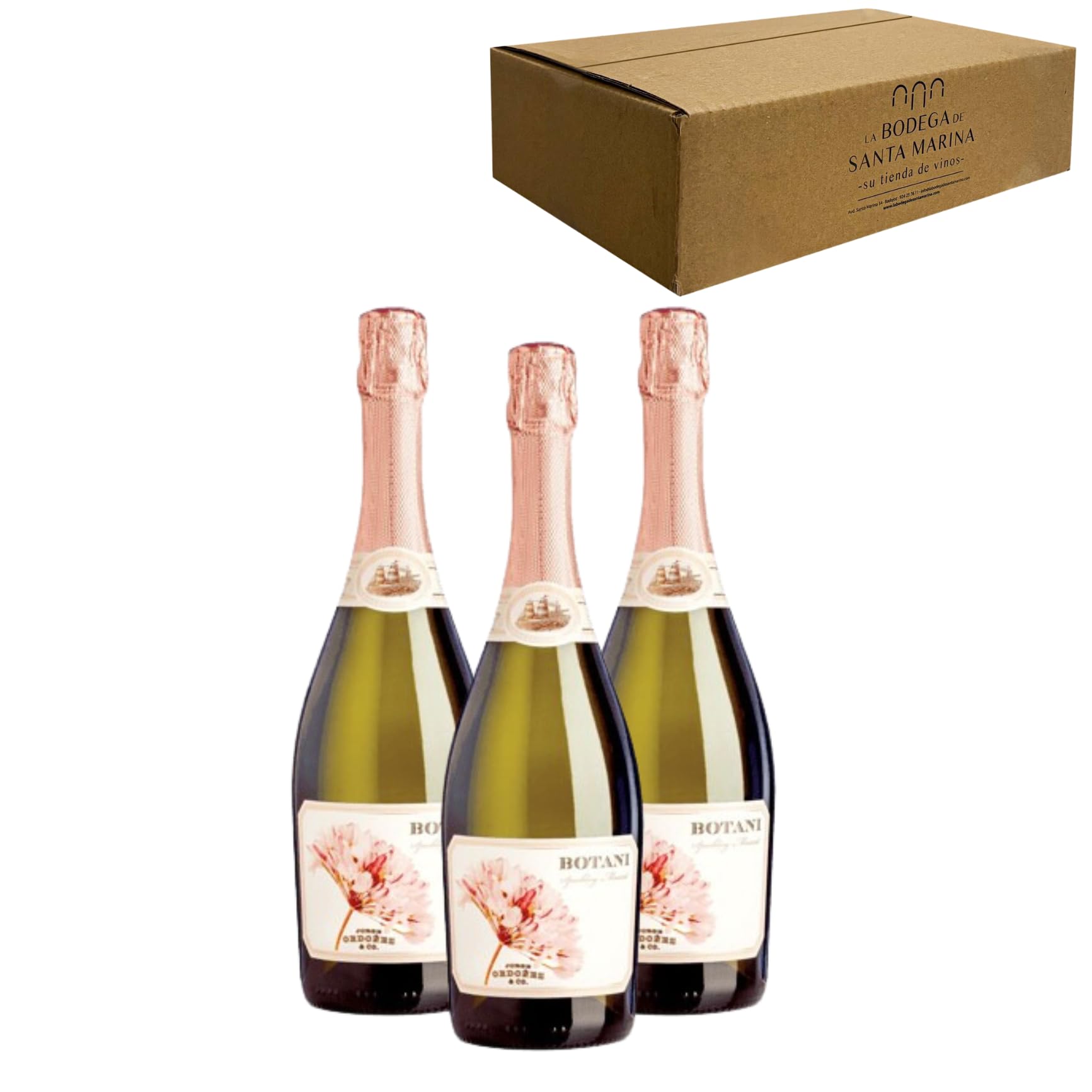 Botani Muscat Espumoso - Para Disfrutar en Celebraciones y con los Tuyos - Pack 3 Botellas 75cl