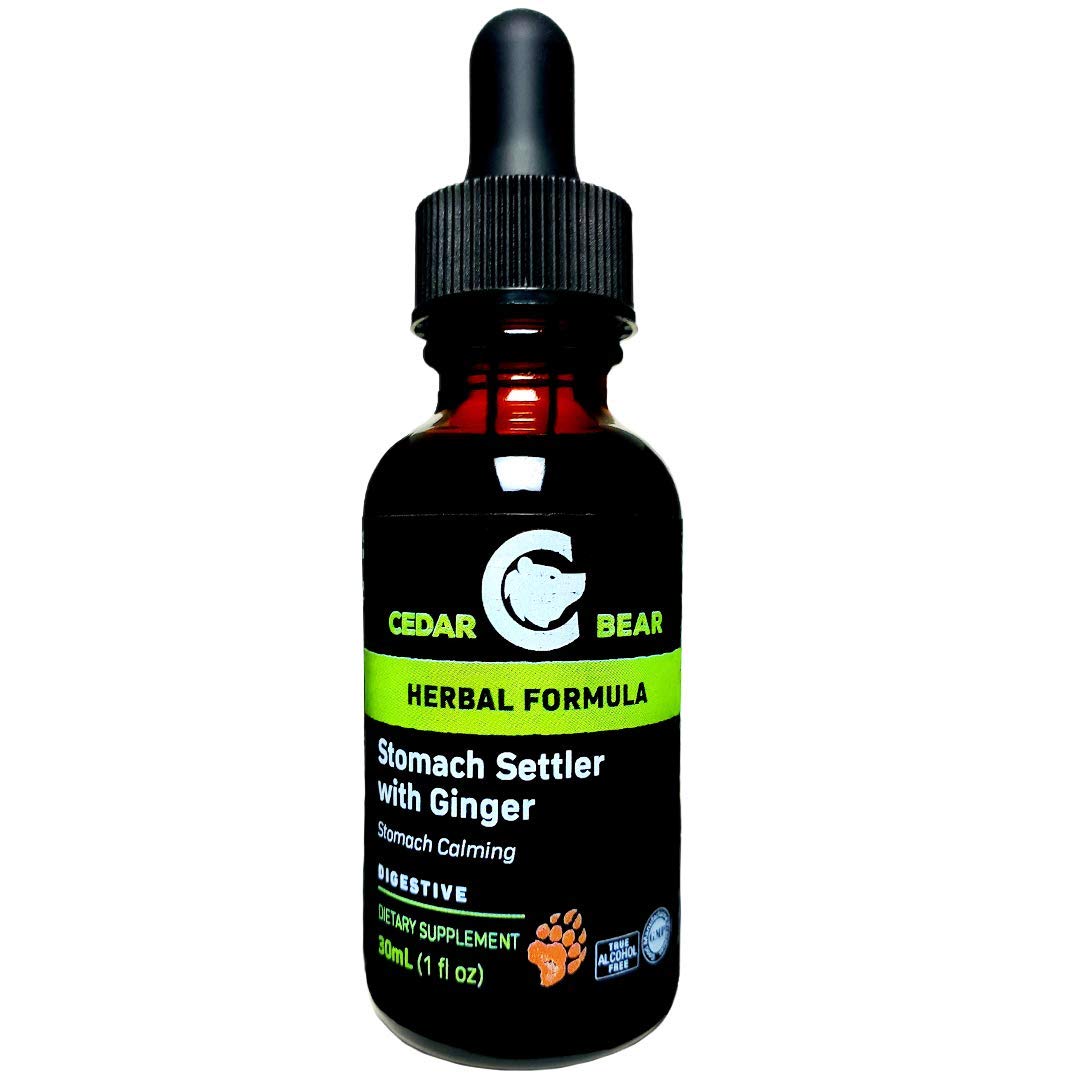 Cedar Bear Stomach Settler with Ginger a Liquid Herbal Supplement That Helps Calm a Mild Upset Stomach 1 Fl Oz