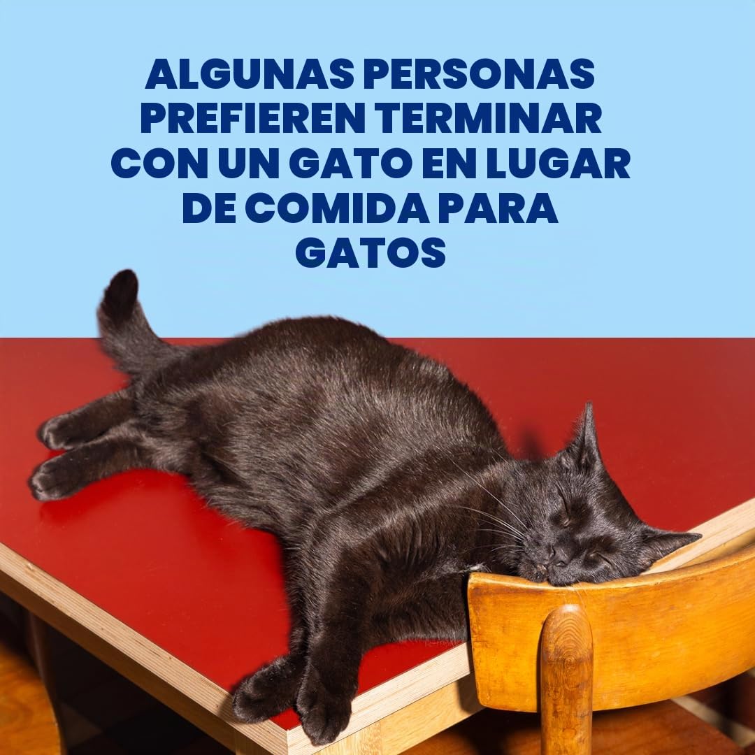 Edgard & Cooper Comida Húmeda para Gatos Adultos (Atún, 70g x 24) - Filetes Sin Cereales, Ingredientes Naturales, Carne Fresca - para Gatos Esterilizados y Activos