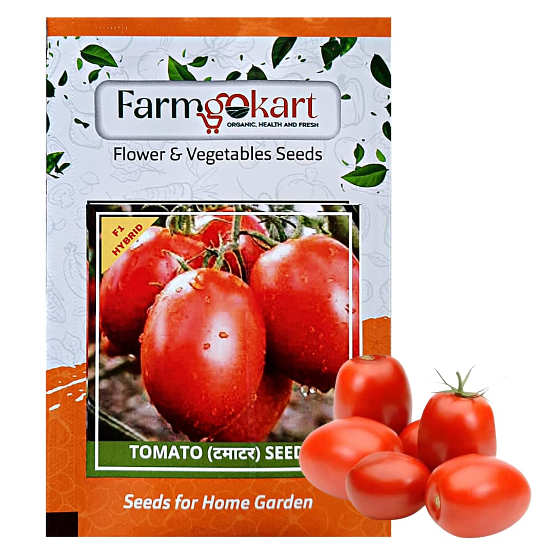 FARMGO 5 Gms OVAL SHAPED TOMATO (TAMATAR) F1-HYBRID SEEDS, Vegetable Seeds for Home Gardening, Farming, Hydroponics and Poly Houses (B0BX6TWHCD) Amazon Price History, Amazon Price Tracker