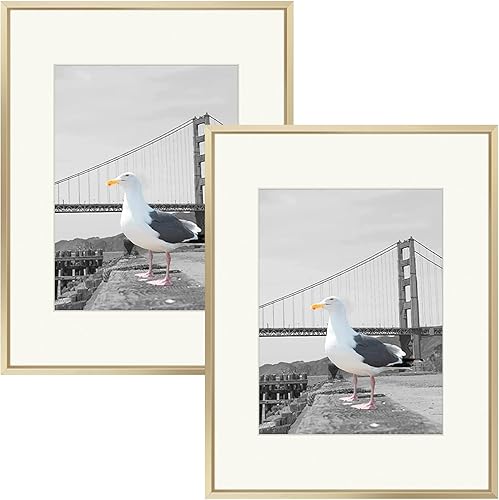 Frametory, Marco de fotos de aluminio de 16 x 20 pulgadas con paspartú de color marfil para fotos de 11 x 14 pulgadas y vidrio real, colección de