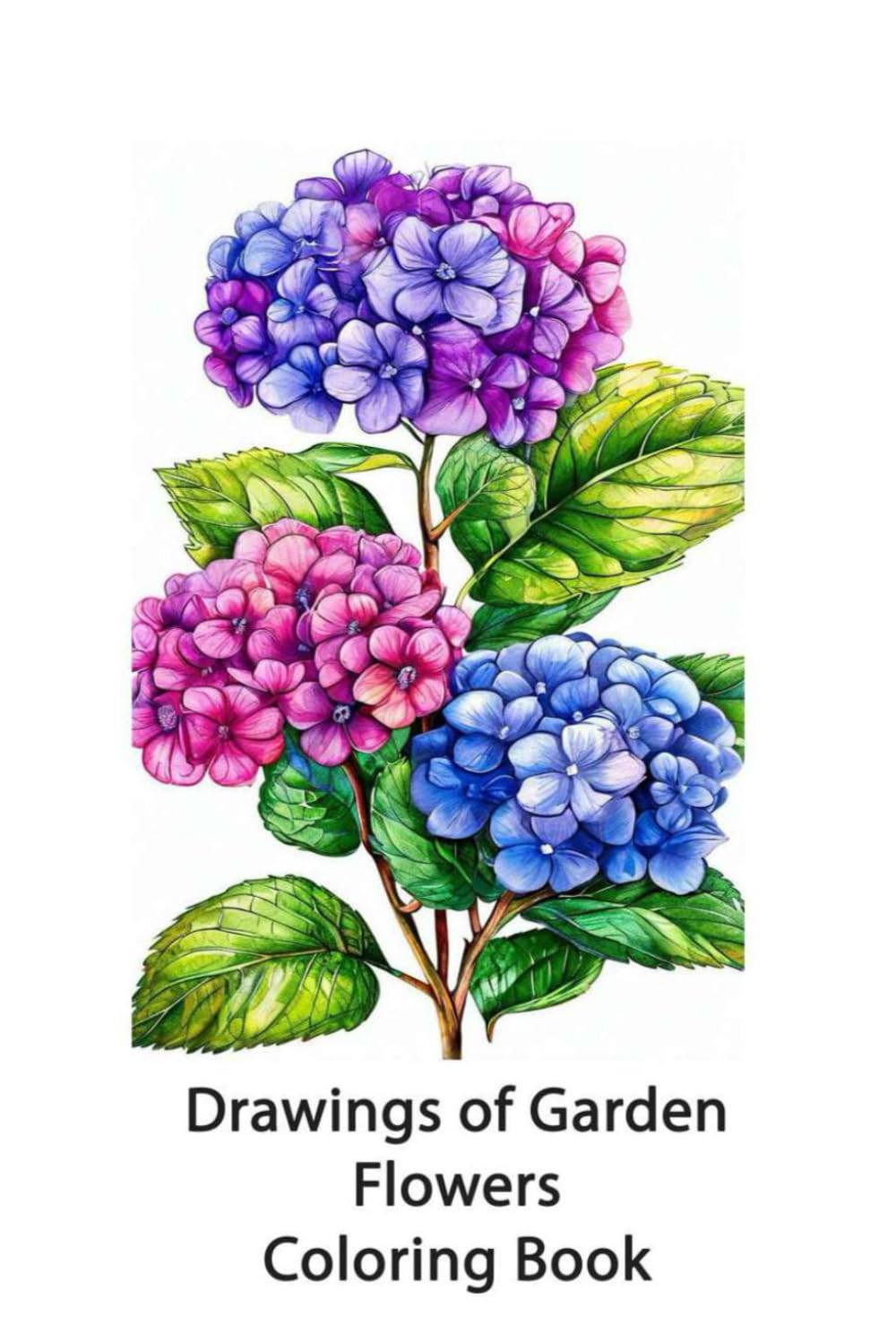 Drawings of Garden Flowers: Coloring Book (Peony drawings and other flowers)
