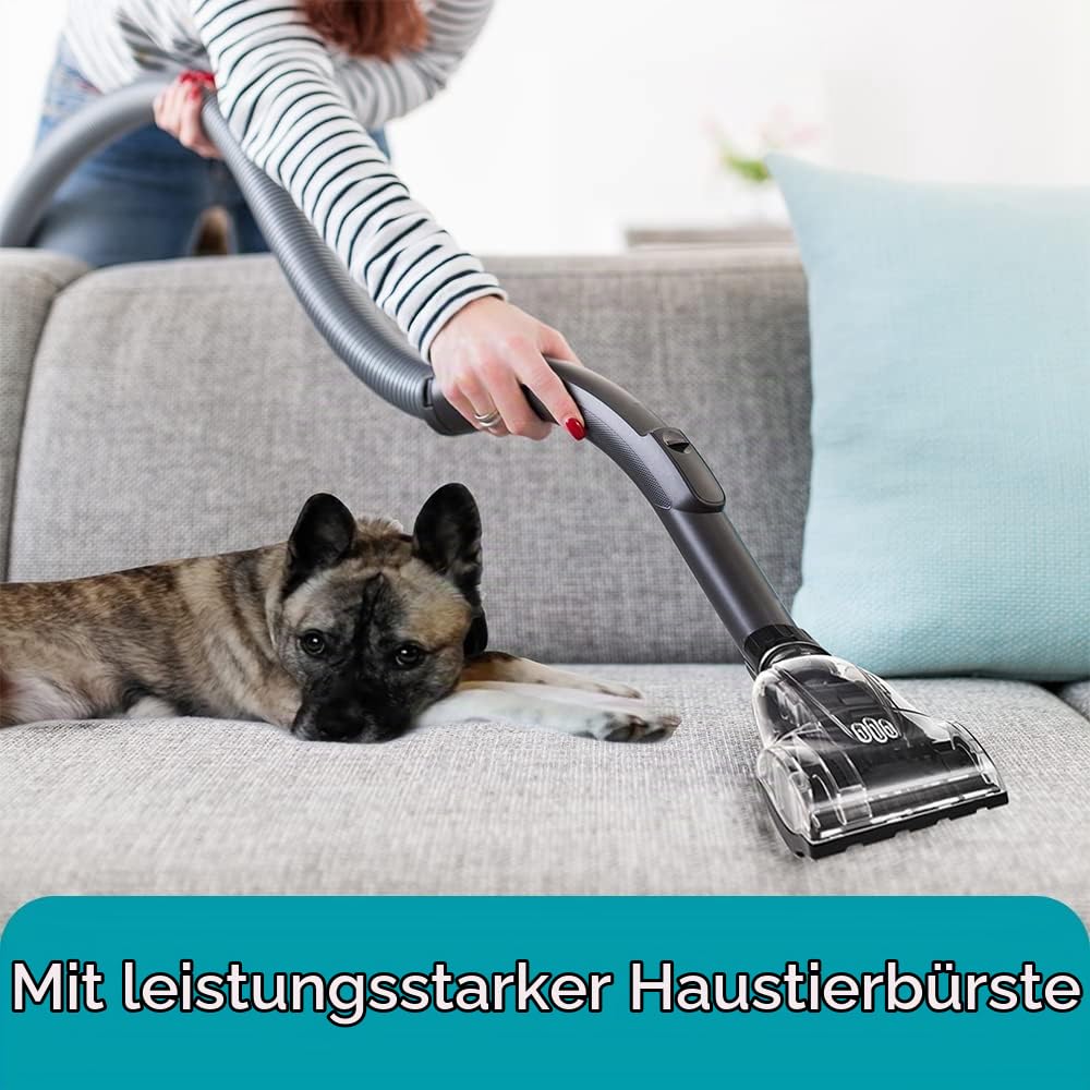 Venga! Kräftiger Zyklon-Sauger, ohne Beutel, mit 5 Zubehörteilen incl. spezieller Bürste für Tierhaare und HEPA LuftFilter, 700 W, Schwarz/Silber, VG VC 3300
