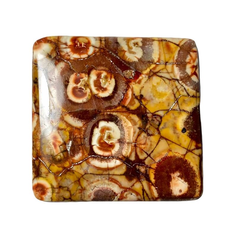 Jaspe œil d'oiseau naturel cabochon coussin 46mm pierre pour fabrication bijoux