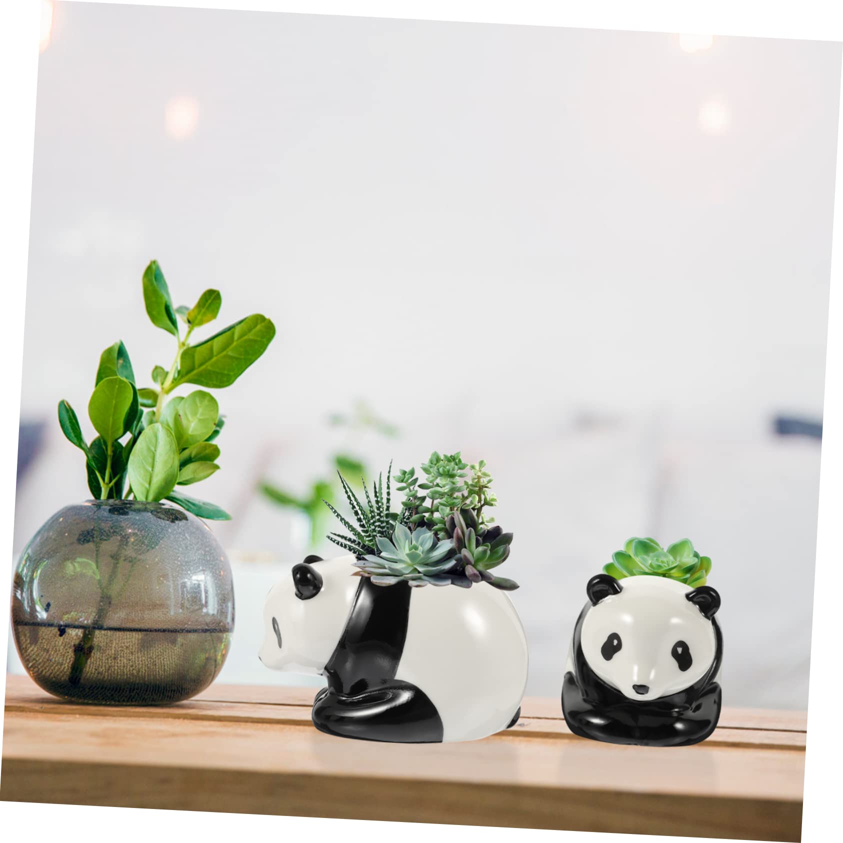 Miniaturowe Doniczki Na Kaktusy Zestaw 3 Ceramicznych Doniczek Bonsai W Kształcie Uroczych Zwierzątek