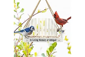 Engraved Dragonfly Wind Chime Memorial Bird Feeder, Bereavement Gift for After Loss...