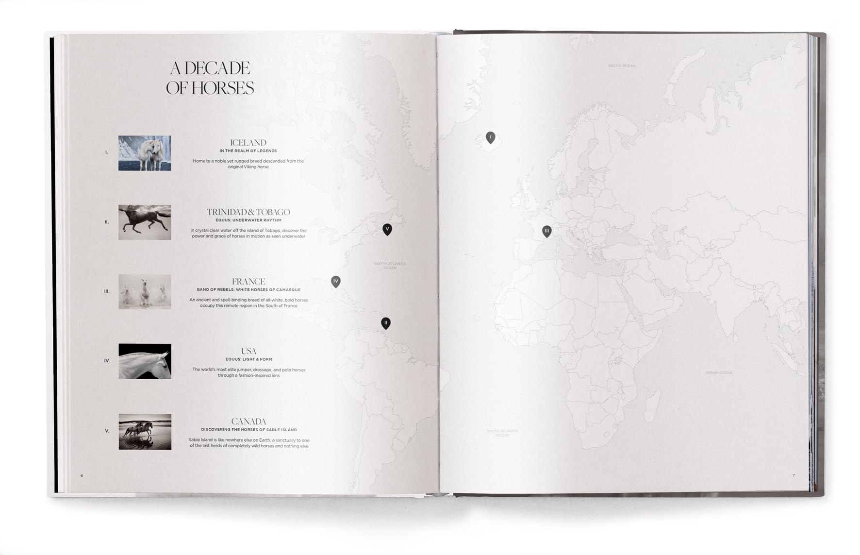 Untamed Spirits: Horses from Around the World /anglais/allemand
