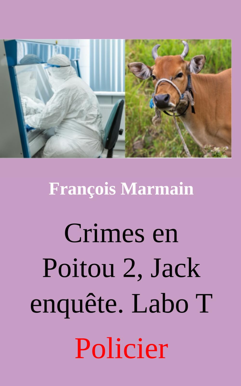 Crimes en Poitou 2, Jack enquête. Labo T: Policier