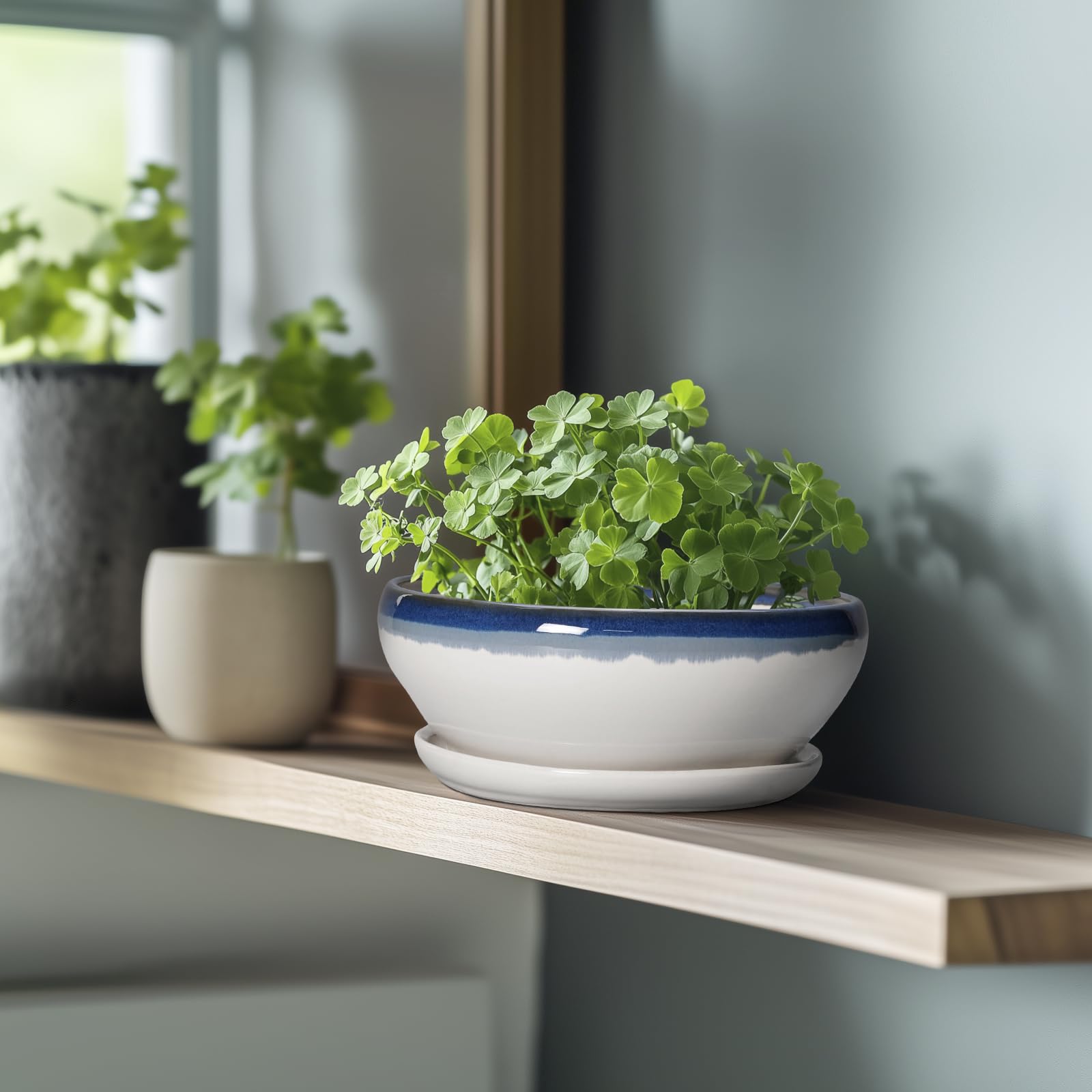 SQOWL Bonsai-Töpfe Keramik - 20,3 cm Sukkulenten-Pflanzgefäße für den Innenbereich, Sukkulententopf mit Drainageloch und Abtropfschale, flacher Keramik-Pflanztopf für den Außenbereich, runder