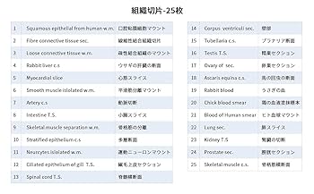 組織学 81UUdoUduNL._UF1000,1000_QL80_.jpg