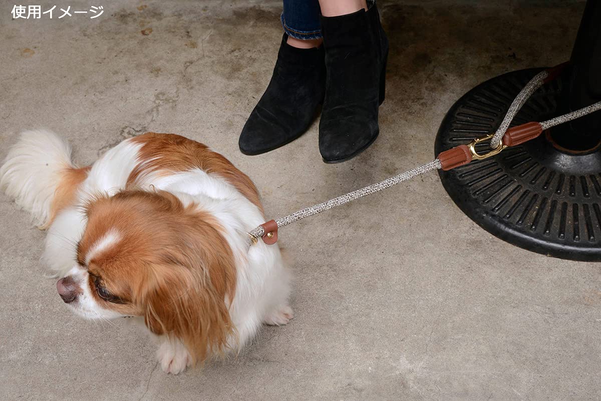 Amazon | HIGH5DOGS クリックリード 11mm チャコール