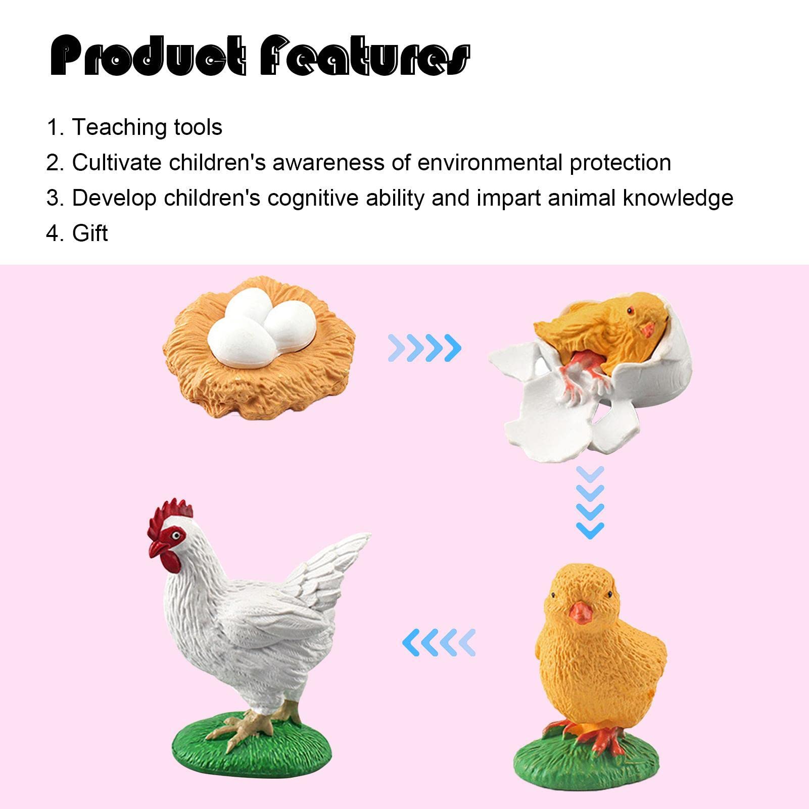 Amazon.co.jp: ライフサイクルフィギュアセット ニワトリ・カメ