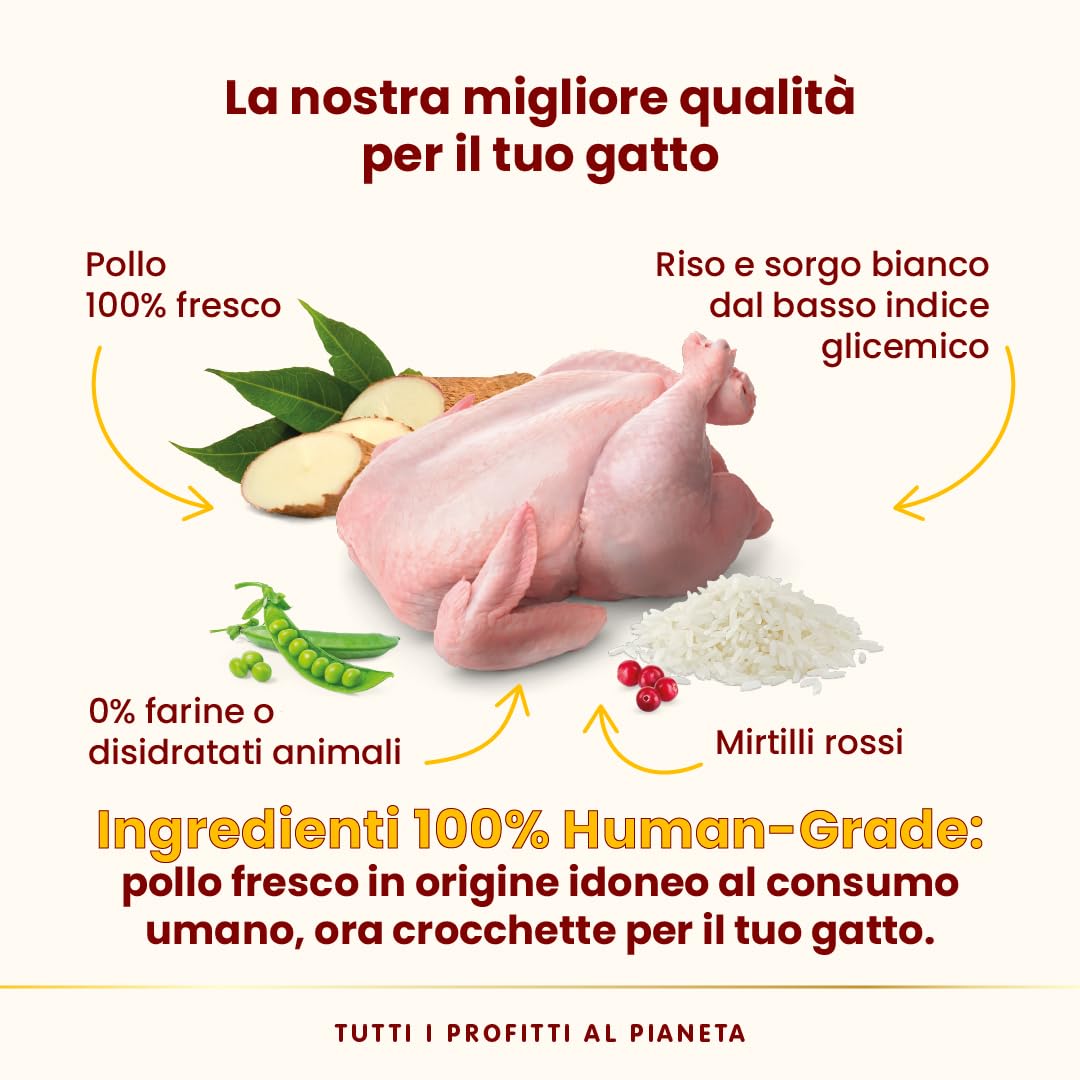 Almo Nature HFC Our Best - sterylizacja dla dorosłych - sucha karma dla sterylizowanych kotów - świeży kurczak - do kontroli wagi, jakość żywności, bezglutenowa, monoproteina, 300 g