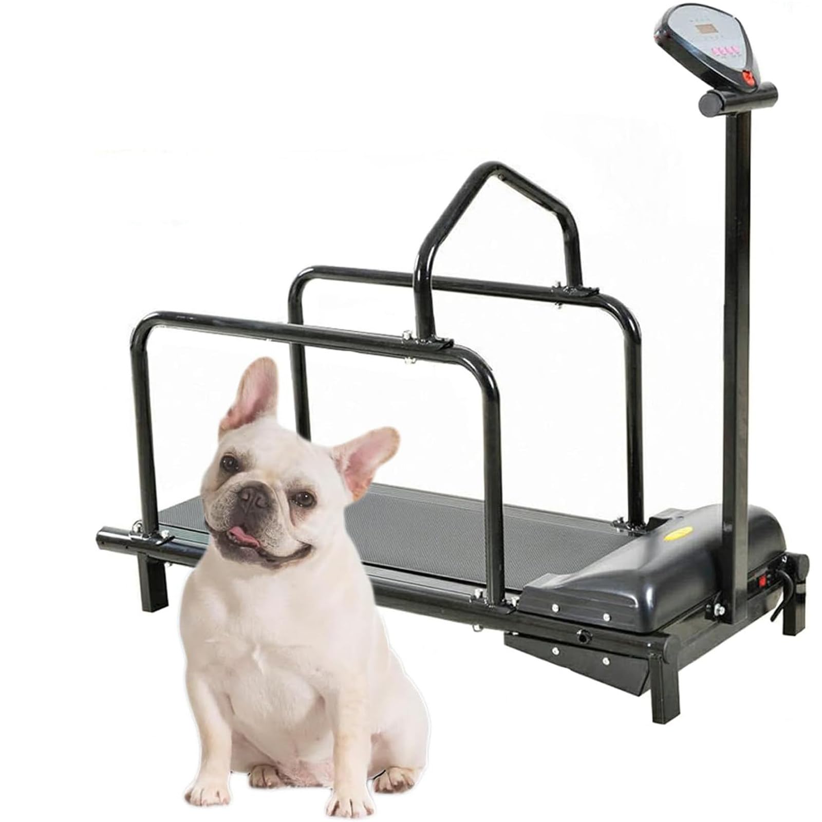 Hundelaufband für große Hunde,Hundelaufband,Hundelaufband für mittelgroße Hunde,Haustier-Laufband für kleine und mittelgroße Hunde,Trainingslaufband für den Innenbereich,C100