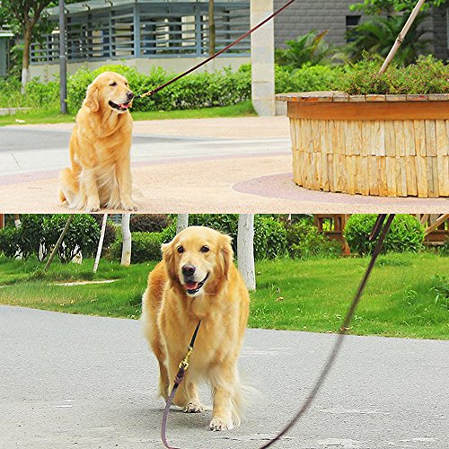 Keyohome Hundeleine Länge 3 Meter aus echtem Leder, Handbraun, geflochten, für große oder mittelgroße Hunde, verstellbar im Training (3 m)