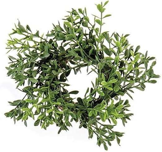 New England Boxwood Candle Ring | 2 inch Center | Greenery Candle Ring Wreath | 6 inch | FXP78275, Green