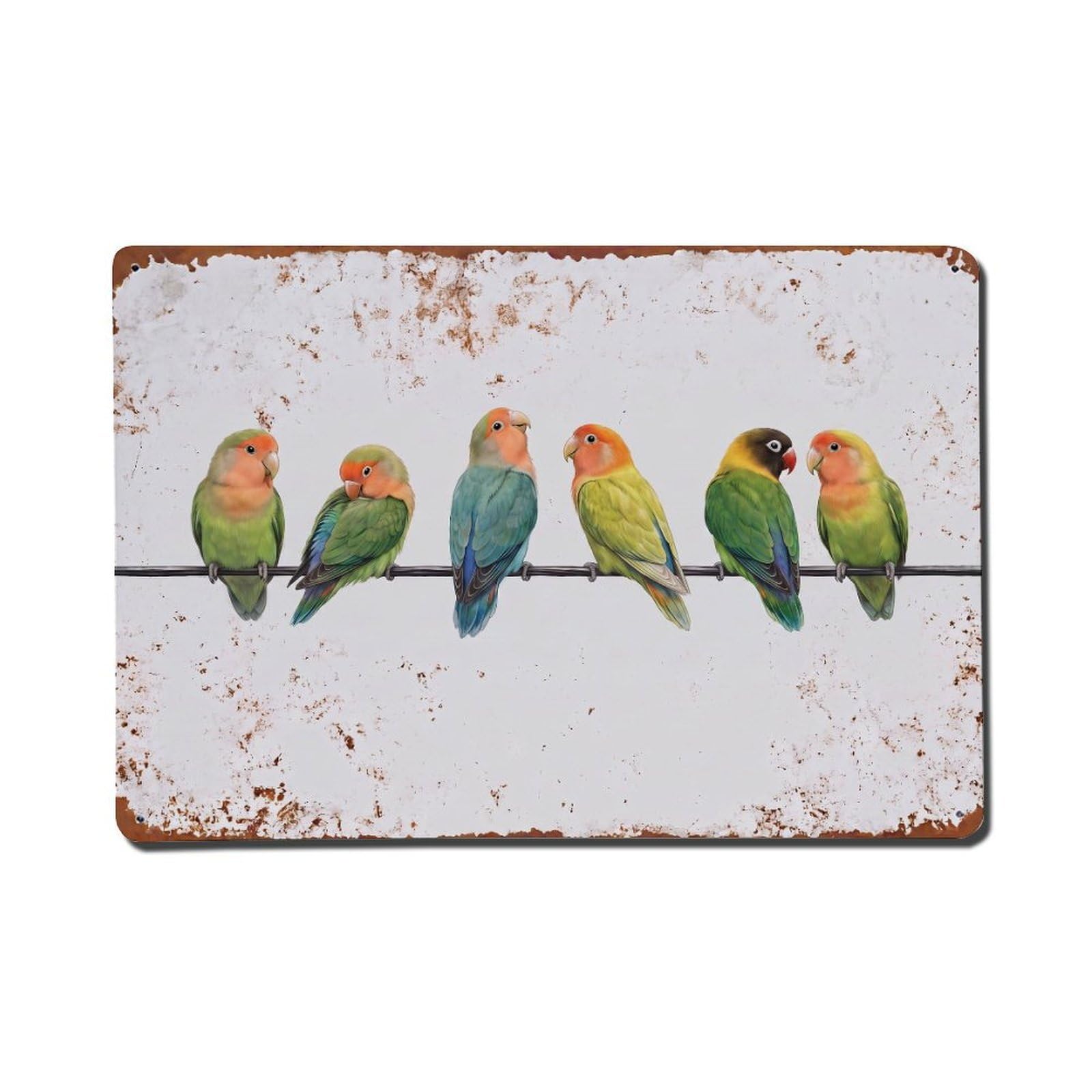 Vintage Retro Birds Lovebird Metal Tin Sign