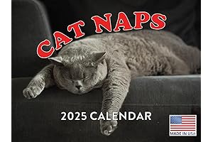 Cat Naps Calendar 2025 Cats Monthly Wall Calender 12 Month