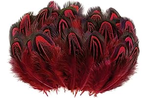 Red Peacock Feathers for Decoration and Crafts