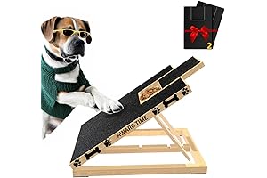 Best Glass Nail File for Dogs: Stress-Free Nail Filing