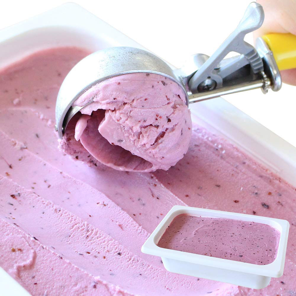 北国からの贈り物 アイスクリーム 業務用 ハスカップ 北海道 くりーむ童話 手づくり アイス