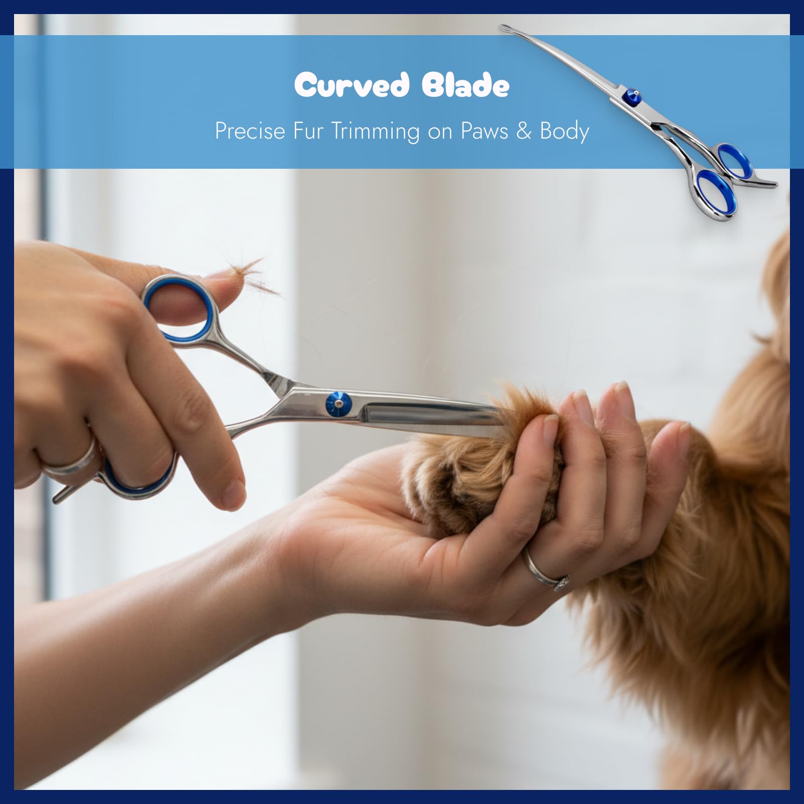 Ciseaux Courbés pour Chien 6,7 Pouces avec Chiffon de Nettoyage, Ciseaux de Toilettage Professionnels en Acier Inoxydable, Sécurité Pointe Arrondie, Idéal Pour Poils de Chiens et Chats