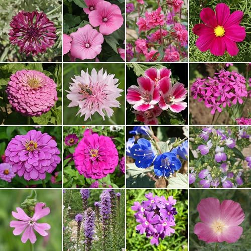 Image of Ferry-Morse Pink & Purple Bulk Wildflower Seeds, 310,000+, 1 lb